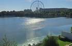 APARTAMENT CU 3 CAMERE - GRADINA - VEDERE LA LACUL TEI - 2