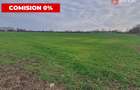 COMISION 0% Teren intravilan industrial 28.395 mp la sosea in Sag  - 1