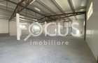 Hala industriala de vanzare - Sag - 4