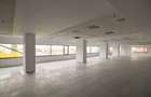 RAMS Business Center, Basarabia, 200 - 1753 mp  0% comision! - 7