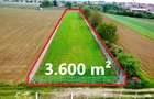 Teren 3.600 m² in Odoreu | 7 km de Satu Mare | 160 m de Principala - 5