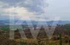 Apartament 3 camere, două băi, terasa 7 mp.-Natura la tine acasă! Cristian-SiBiU - 22