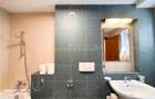 Apartament 3 camere de inchiriat Aviatorilor - 23