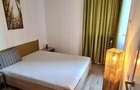 Apartament 2 camere lux, centrala, parcare, pet friendly, vedere parc - 10