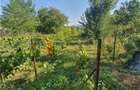 Exclusivitate! Teren intravilan zona Beceni - 3