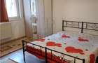 SAGULUI - APARTAMENT 1 CAMERA - centrala prorpie - 1