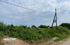 Teren Piscu intravilan,12500 mp, 15 euro mp, 30 m deschidere, toate utilitatile - 11