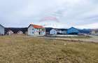 Teren intravilan de vânzare în Tălmaciu - 2
