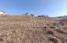 Teren de vanare | 800 mp | Colonia Sopor - 3