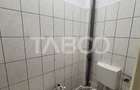 Spatiu comercial de inchiriat 250mpu cu acces tir - 9
