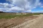 Teren de vanzare Dumbrava Rosie 20.000 Euro 900mp - 2
