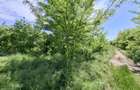 com. Buturugeni, sat Posta, stradal DJ 412A, intravilan, 2720 mp - 12