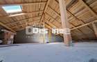 VALEA ADANCA, CASA PLAN PARTER, 101 MP TOTALI, 174.990 EURO - 12