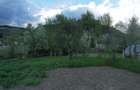 Vand casa cu 5 cam.in com.Neaua sat GHINESTI. - 5