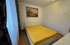 Inchiriere Apartament cu 2 camere Decomandat Nicolina 1 cu Loc de Parcare Inclus - 11