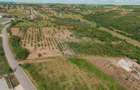 Teren intravilan 1,163mp de vânzare în Săldabagiu De Munte - 6