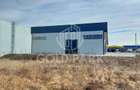 Spatiu Industrial-HALA NOUA/MODERNA-Zona Autostrazii- Curte Betonata - 17