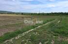 Teren Extravilan de Vânzare – Mărăcineni, Sat Argeșelu - 5