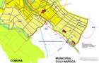 8.700 mp pentru dezvoltare rezidentiala la 3 km de CREIC - Chinteni - 3