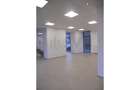 REC0000626 Spatiu showroom PARTER si MEZANIN - 8