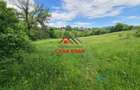 Teren intravilan in Campina--4355mp--28.500 euro - 6