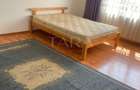 Apartament 1 cameră, 40 mp, Gruia – zona stadionului CFR - 5
