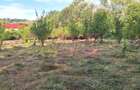 Vila de vanzare cu 6 camere si teren de 5116 mp in Cornu, Prahova - 34