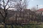 POIANA TEREN DE VANZARE - 2