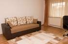 Ofer spre inchiriere apt. 2 camere, decomandat, cartier Zorilor, cu garaj. - 8