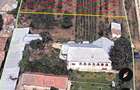 Casă 4 camere+teren 1.750 mp în Mitreni-Valea Roșie+casa secundara+veg. matura - 5