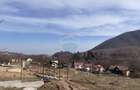Teren 1,697mp Cisnadioara / Strada Silvicultorilor - 5