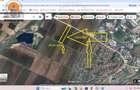 Teren 10.000 mp Ghimbav – deschidere DN1 (E68) – investiție sigură - 1