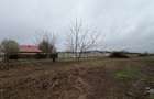 Corbeanca-Tamasi Oportunitate excelenta pentru dezvoltare rezidentiala - 3