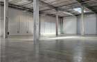Spatiu Industrial - 5300 mp - Logistica - Productie - Depozitare - Distributie - 9