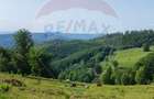 Teren 130000 mp extravilan, faneata si padure, Munteni - Bulz, Negreni - 16