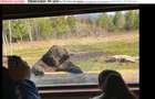 Vânzare teren extravilan, 4 ha pădure, zona turistică Liban, Harghita - 14