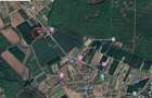 Ciolpani, spre Izvorani - COR, vanzare teren 5000mp. - 5