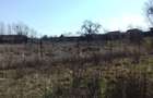 TEREN INTRAVILAN ZIMANDCUZ - 1