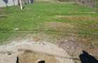 Teren Intravilan Becicherecu Mic In Vatra Satului,1000 mp,Fs. 14m - 3
