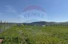 Teren de vanzare 8.700 mp în Livada comuna Iclod - 16