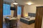 Vand apartament 1 camera, Park Residence, mobilat si utilat - 7