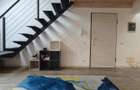Apartament “de revista”, la casa in Elisabetin- zona consulatelor. - 17