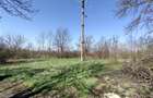 Rachitova, Casa 8 Incaperi, 3800mp Teren, Usor Negociabil - 7