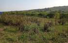 Intravilan - Tomesti - Teren si Cabana zona frumoasa