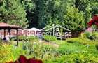 VILA D+P+E+M, 12 camere, piscina , padure, IANCU NICOLAE - 7