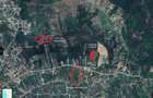 Sapient | Teren intravilan în Săldăbagiu de Munte 4.316 mp - 1