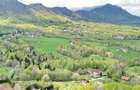 Teren intravilan Bran- Predelut - 26