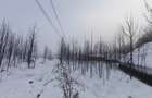 Teren intravilan , 5000mp, zona Negostina, Siret - 3