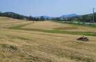 Teren intra si extravilan in Vad, Copalnic-Mănăștur, Maramures - 1