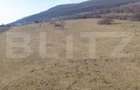 Teren intravilan 4.100 mp – Viisoara, lângă Metaller | Oportunitate de investiți - 3